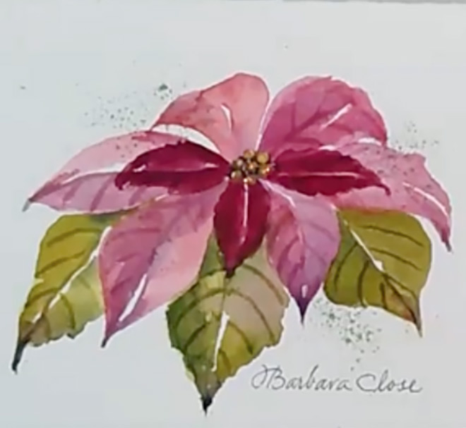 Holiday Poinsettia by Barbara Close